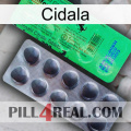 Cidala new04